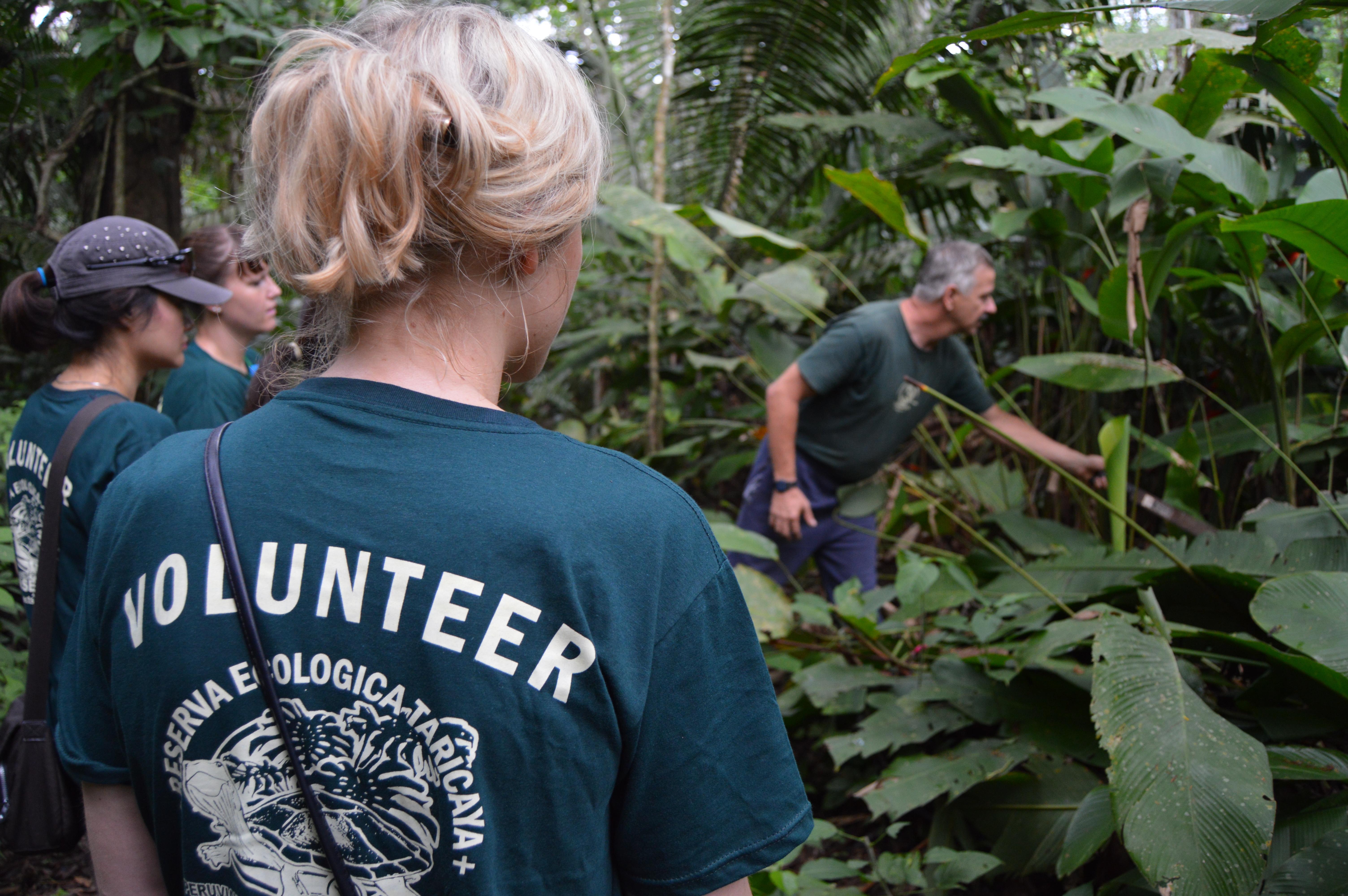 Amazon rainforest volunteer work in Peru A Projects Abroad staff member explaining wildlife to volunteers in Peru